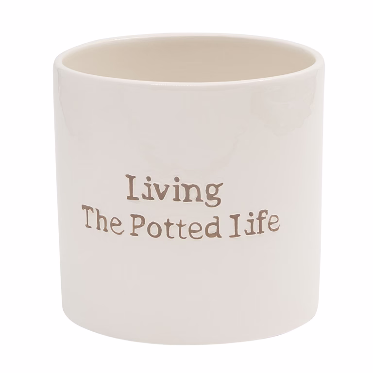 Pot Living The Potted Life 