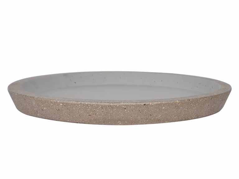 Saucer Joel 