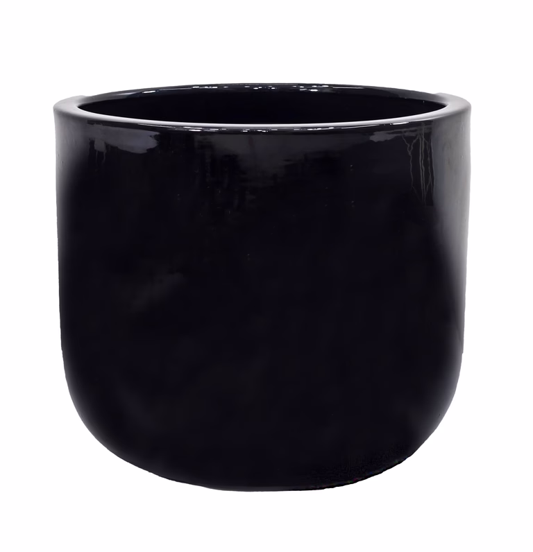 Pot Nova
