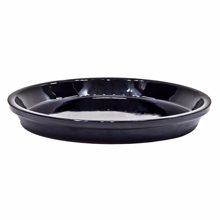 Saucer Nova