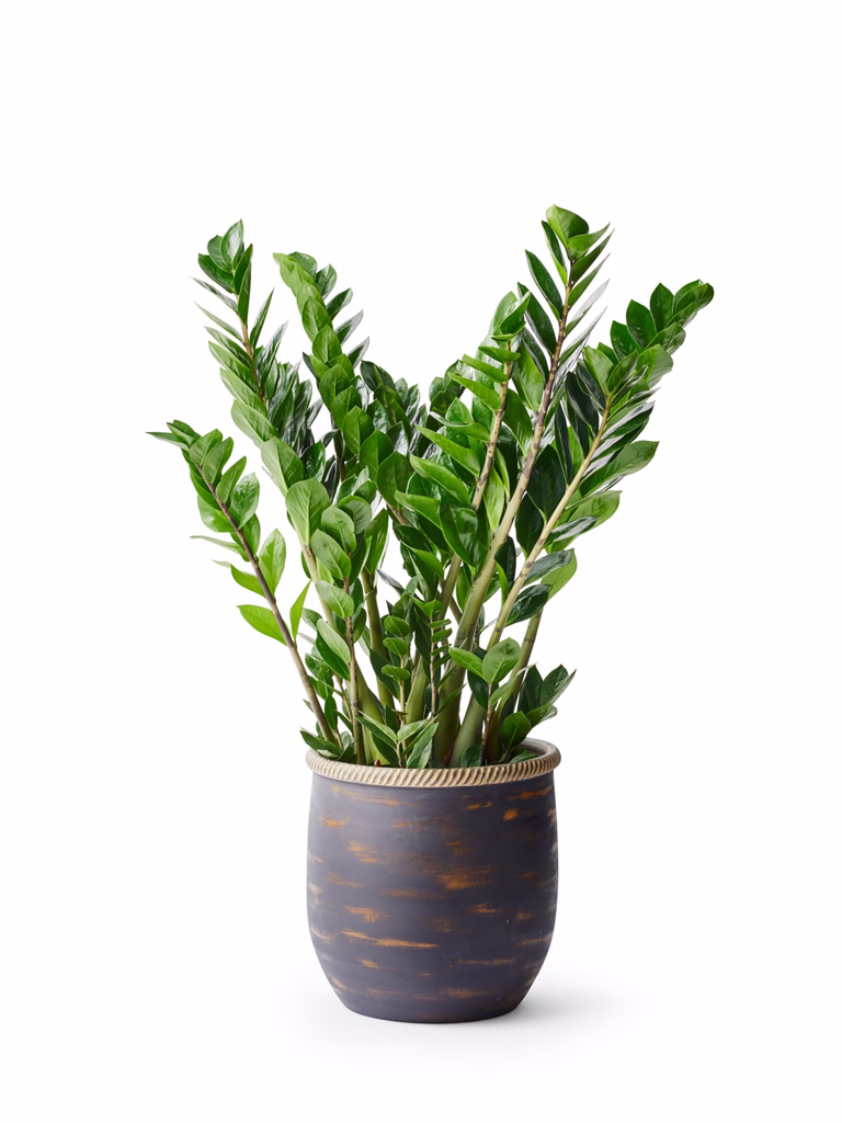 Patrik pot D32 grey