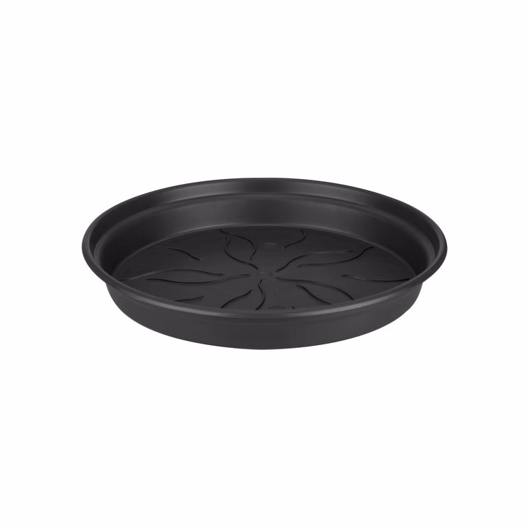 Green basics saucer D10 black