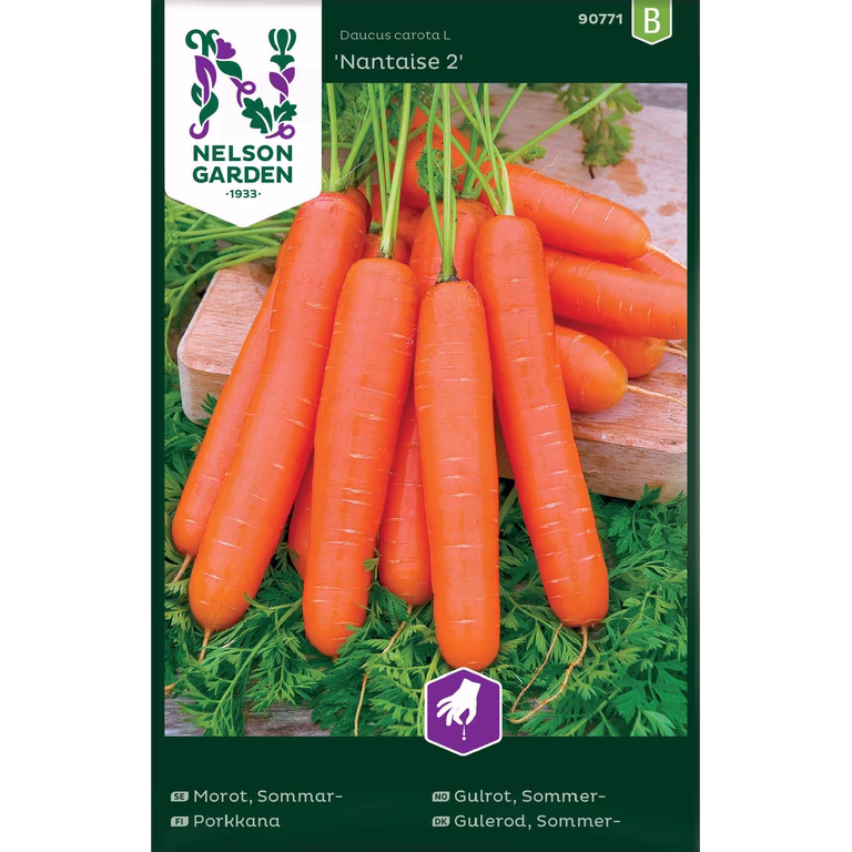 Sommergulrot 'Nantaise 2'