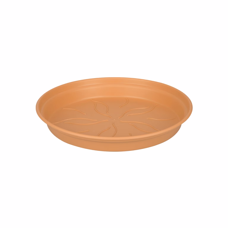 Saucer Green basics