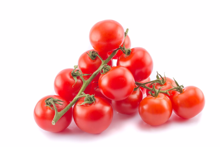 All N. Lycopersicum cherry 'Cerise' 10,5 cm