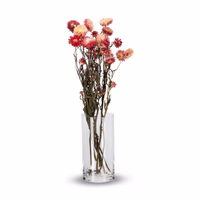 Evighetsblomst
