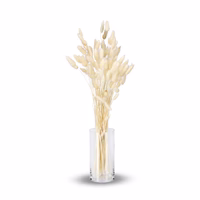 Lagurus