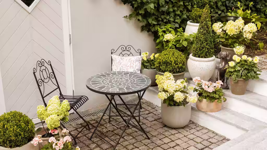 Plantasjen launches new garden concept that helps you find your garden style