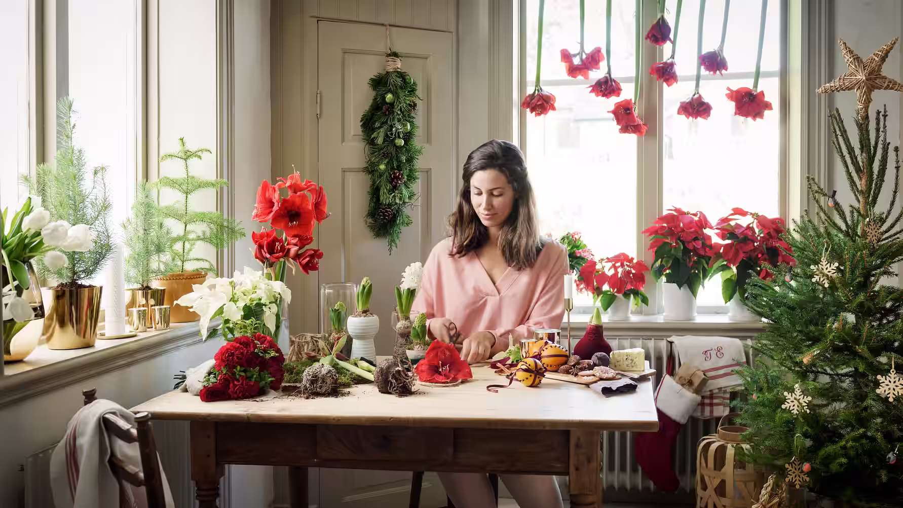 Reduce Christmas stress - This is how Christmas flowers help you find Christmas peace