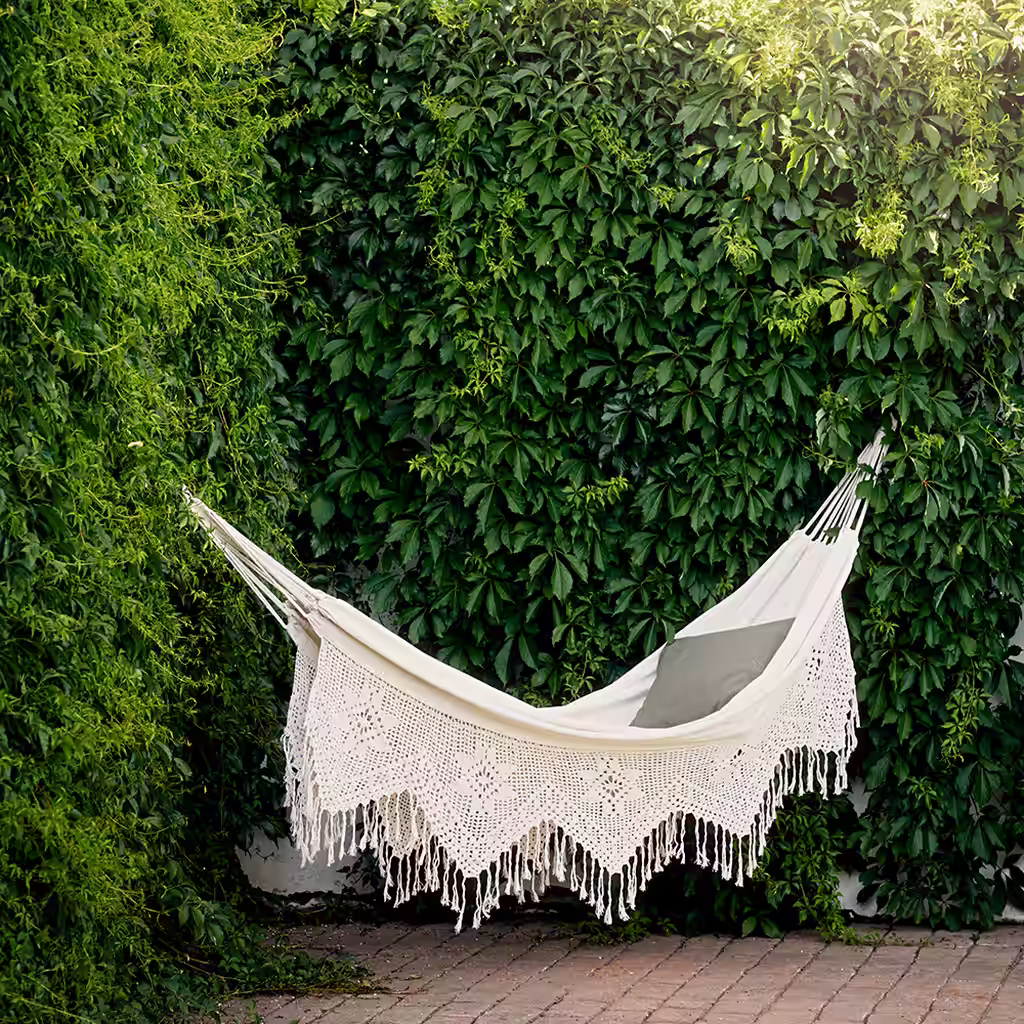 Choosing a hedge – Different types of hedges and what they are suitable for