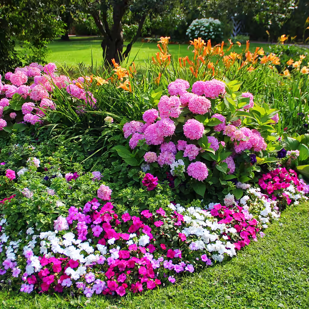 Flower beds – Four ready-made designs with plant suggestions