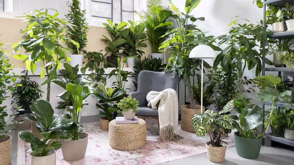 Plantasjen Asker reopens