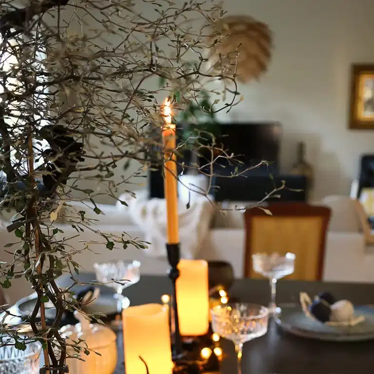 3 for 2 on spooky plants