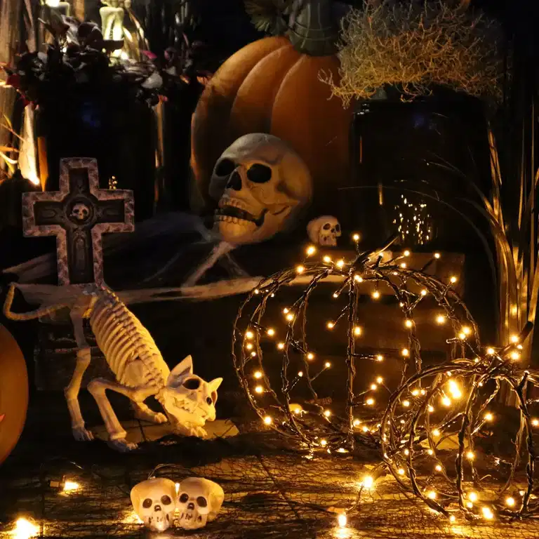 50% off Halloween and autumn decorations