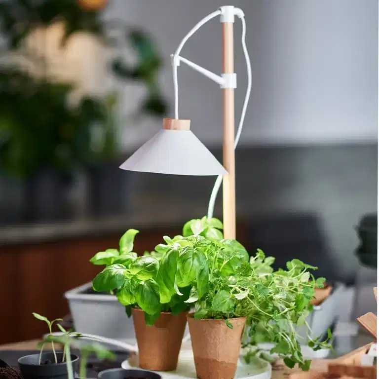 30% off all plant lighting