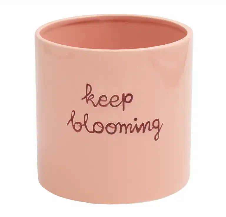 Potte Keep blooming