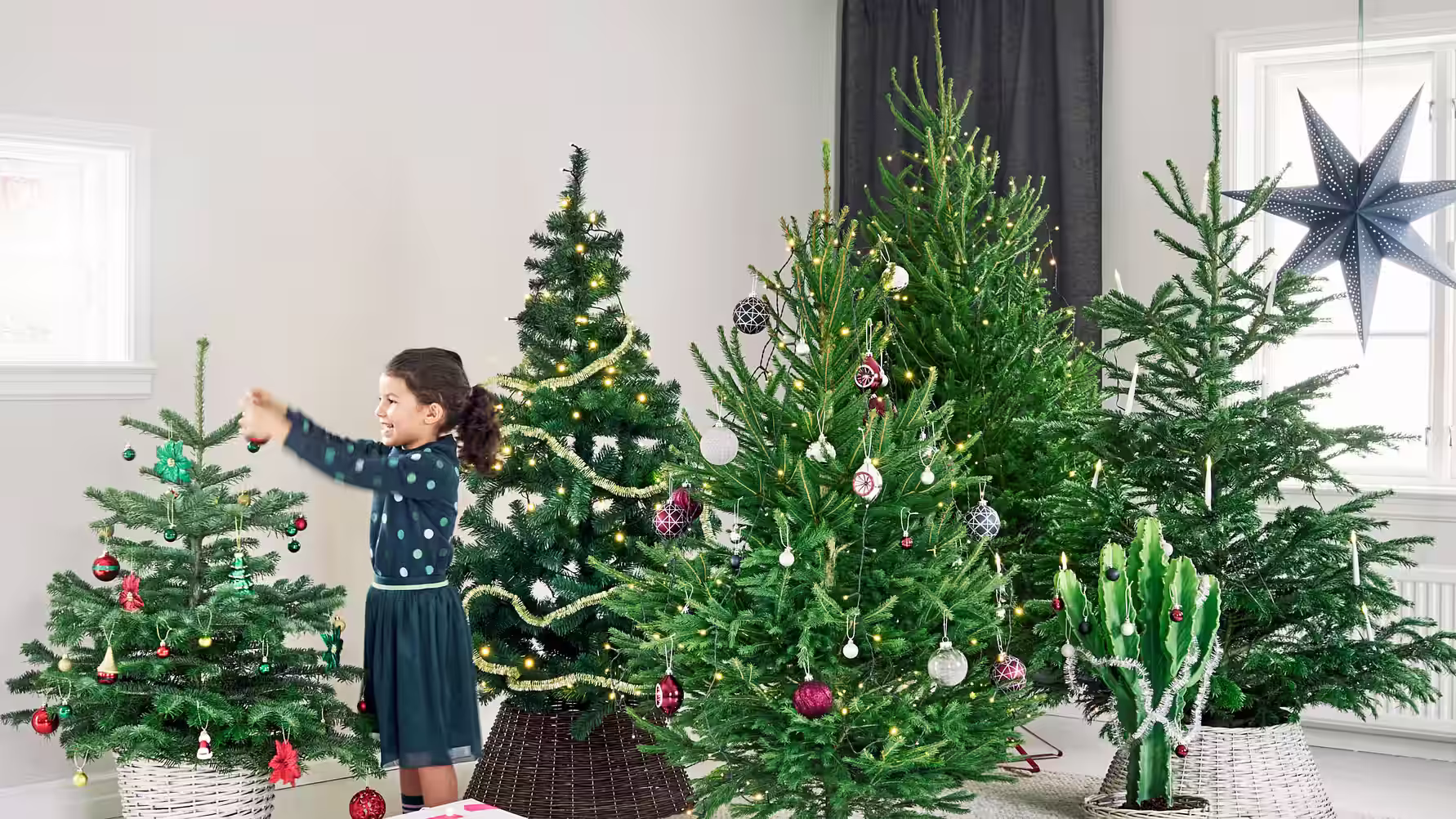 Decorate with plants for Christmas. Just the way you want.
