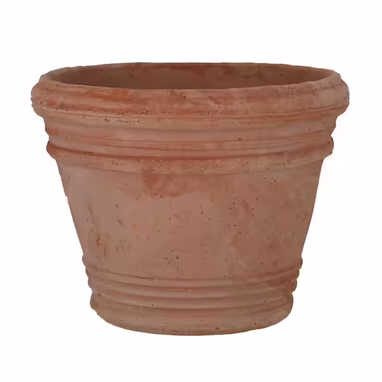 Pot Liscio