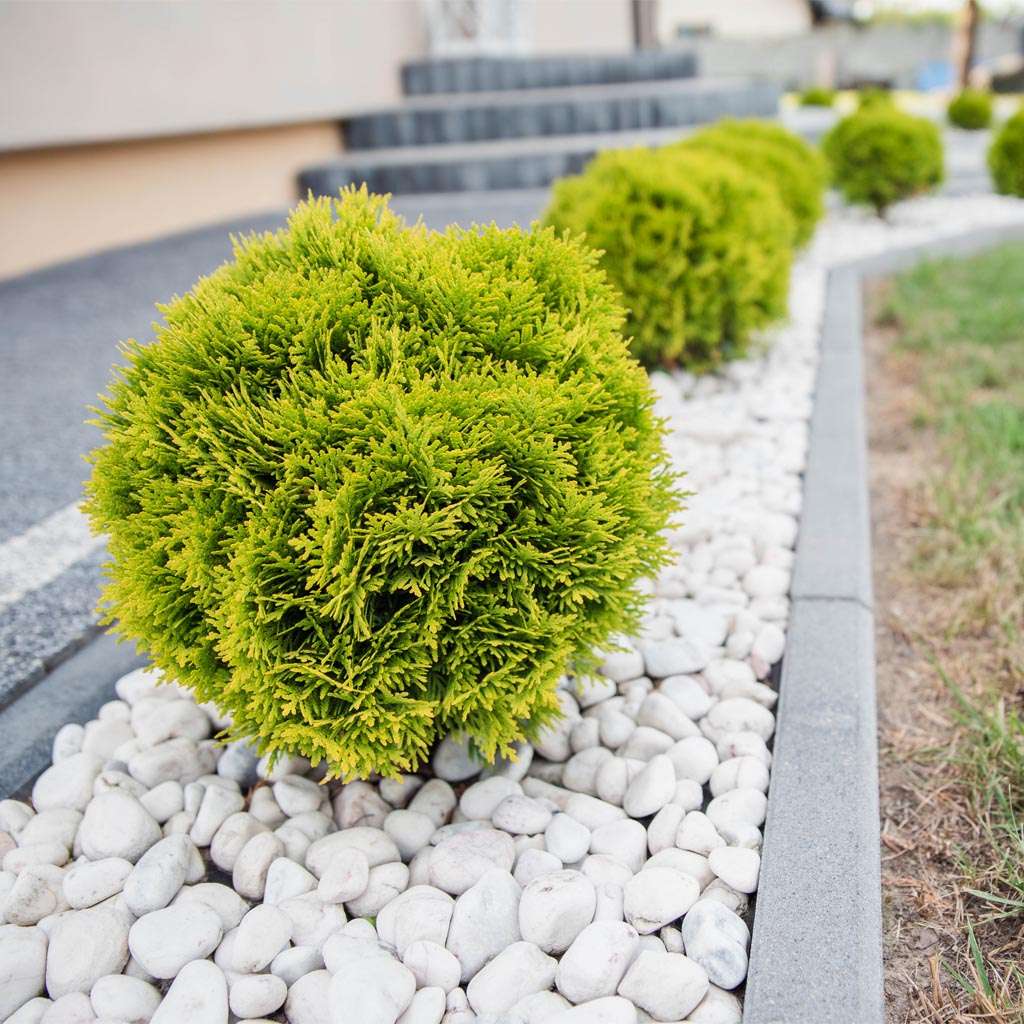 Image of Dekorstein 3 for 2