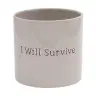 Pot I Will Survive