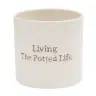 Pot Living The Potted Life 