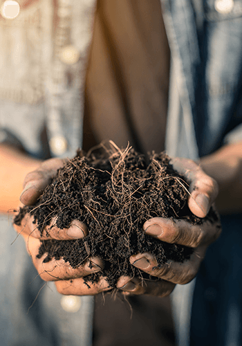 Jord, gjødsel og bark