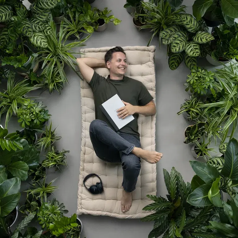 Low-maintenance plants