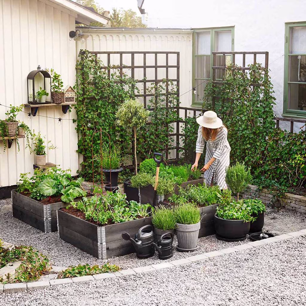 Creating a kitchen garden – how to succeed