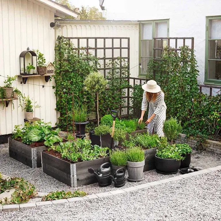 Creating a kitchen garden – how to succeed