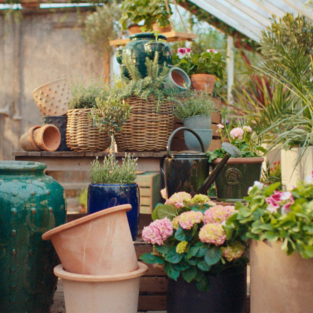 Consider this when buying outdoor pots
