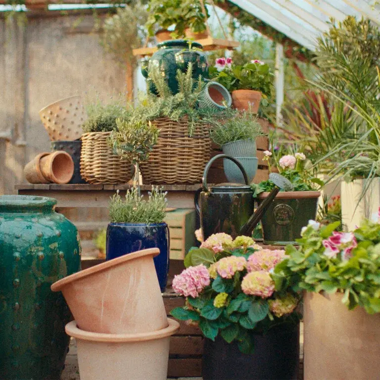 Consider this when buying outdoor pots