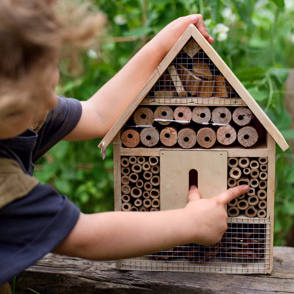 Build your own insect hotel – in seven easy steps