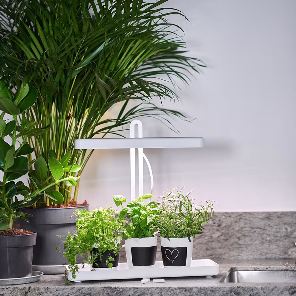 Plant lighting - facts and tips about grow lights and plant lights