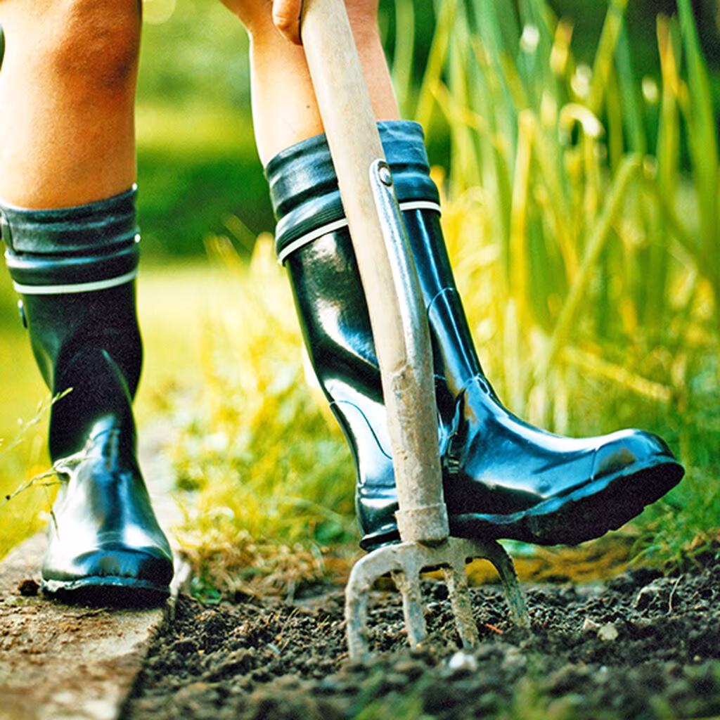 Everything about garden tools