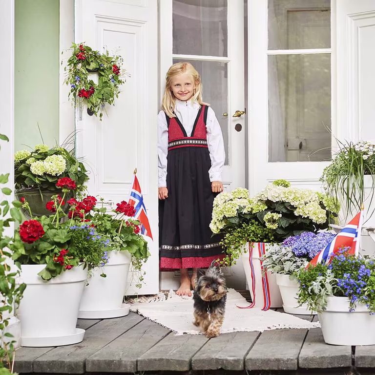 Celebrate 17th of May with colorful flowers