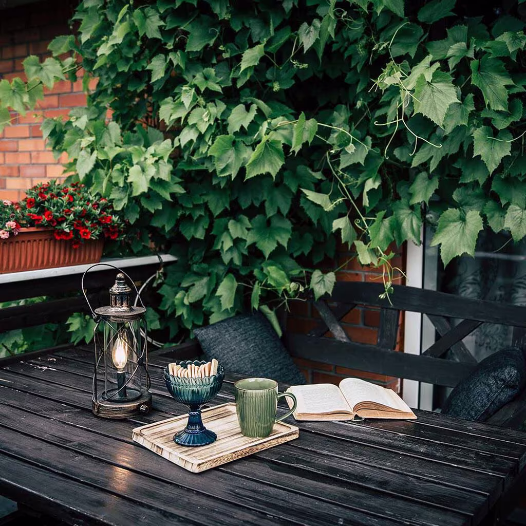 Climbing plants and vines on the balcony