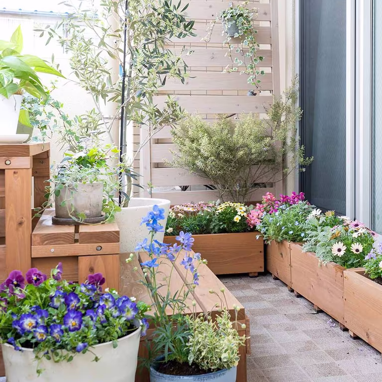Plants on balconies and terraces