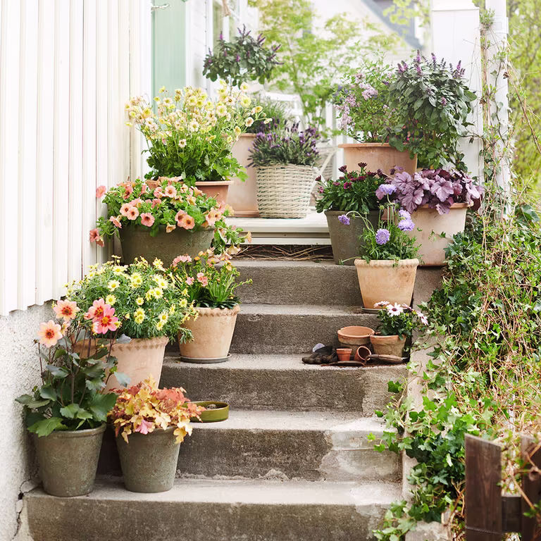Planting in pots