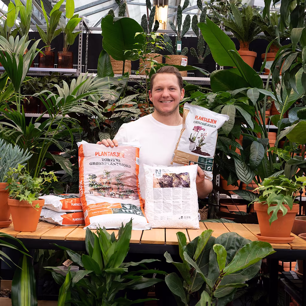 Jordtips fra Plantegutt 