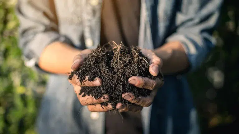 Bruk jorden i plantekasser og potter om igjen