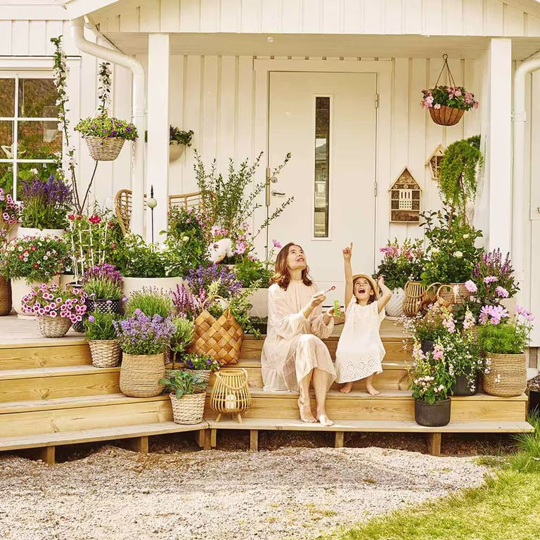 Summer flowers in pots - let it bloom in sun and shade