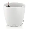 Selfwatering Pot Classico