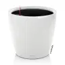 Selfwatering Pot Classico
