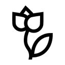 Flowering time Apr - May