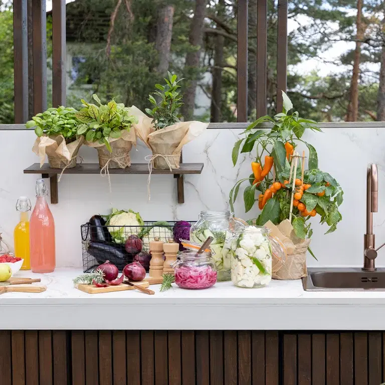 Fermenting vegetables – here's how you do it