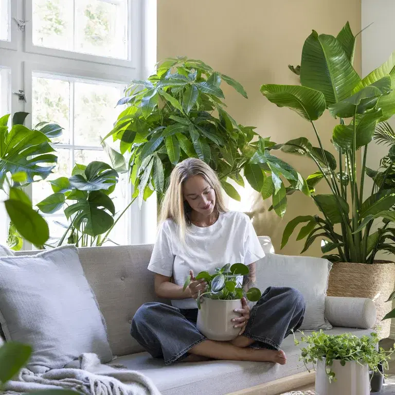 Here are the plant trends of 2025