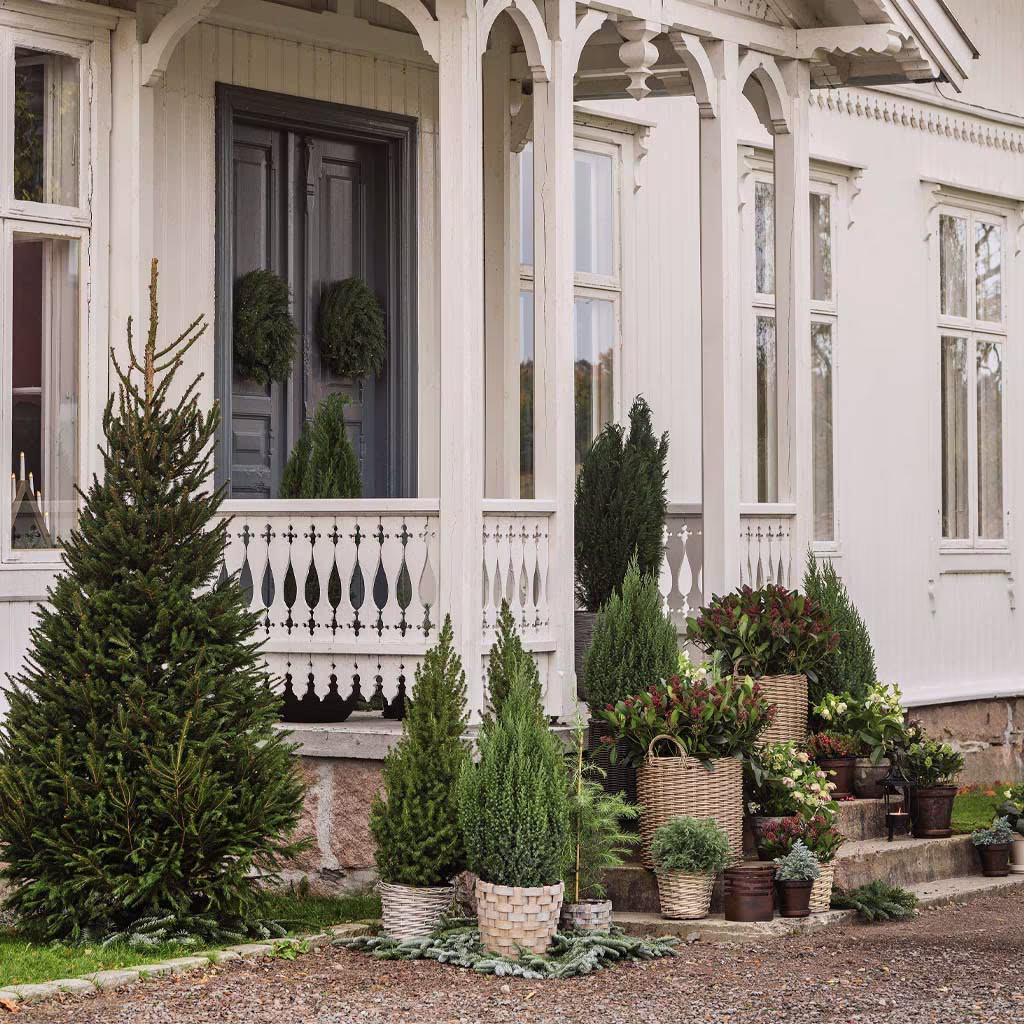 Frame the entrance with various types of colorful plants