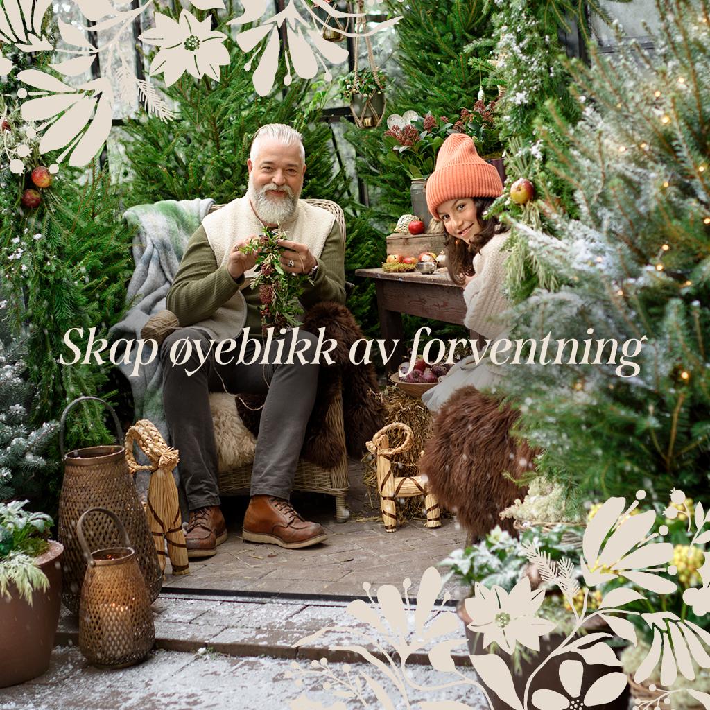 All Mediterranean Plants – Now 30% Off!