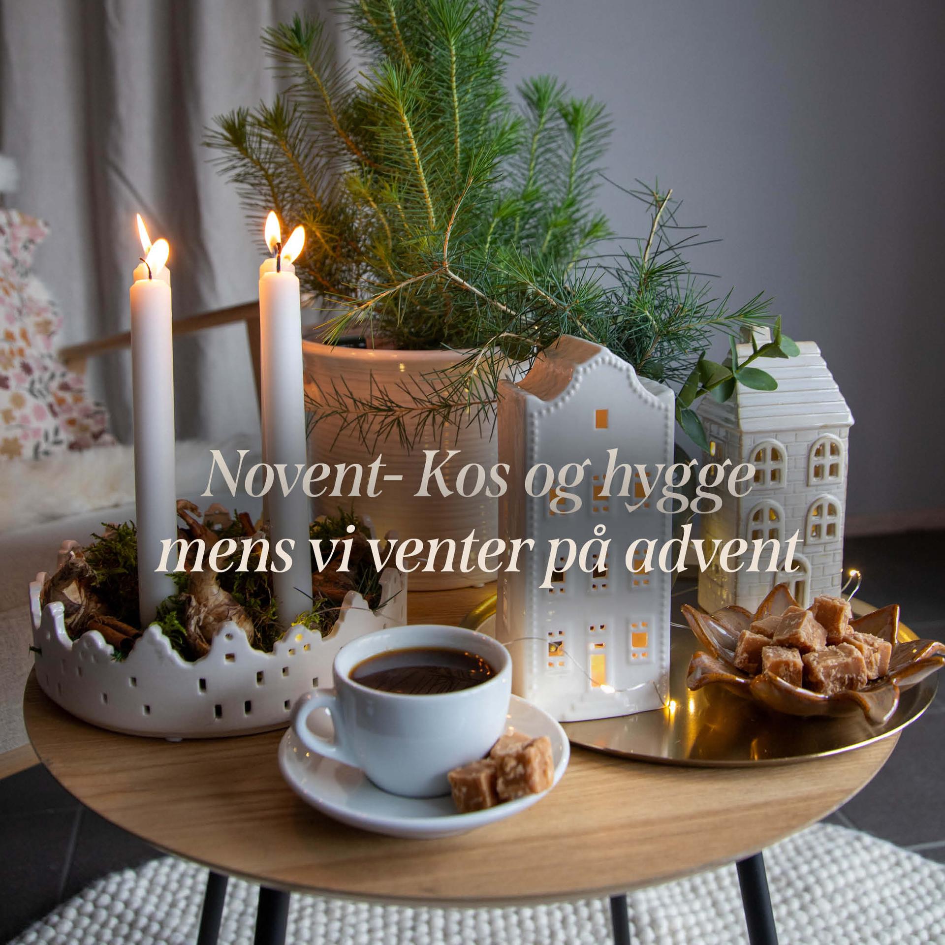 All large perennials: 3 for the price of 2