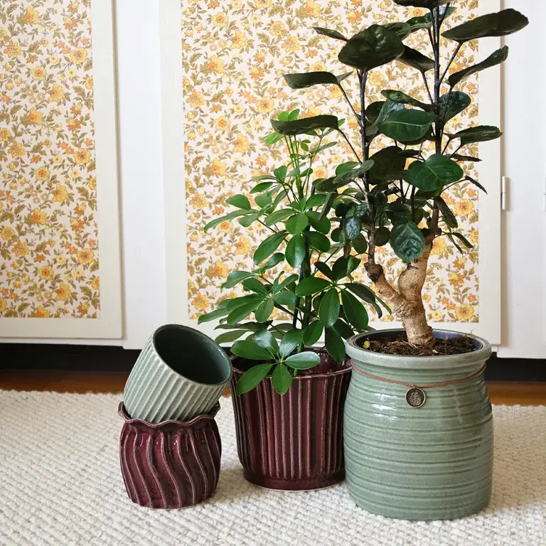 Decorate with pots indoors